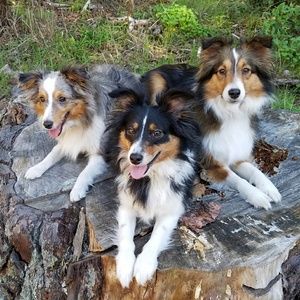 Meet your Posher, Tim